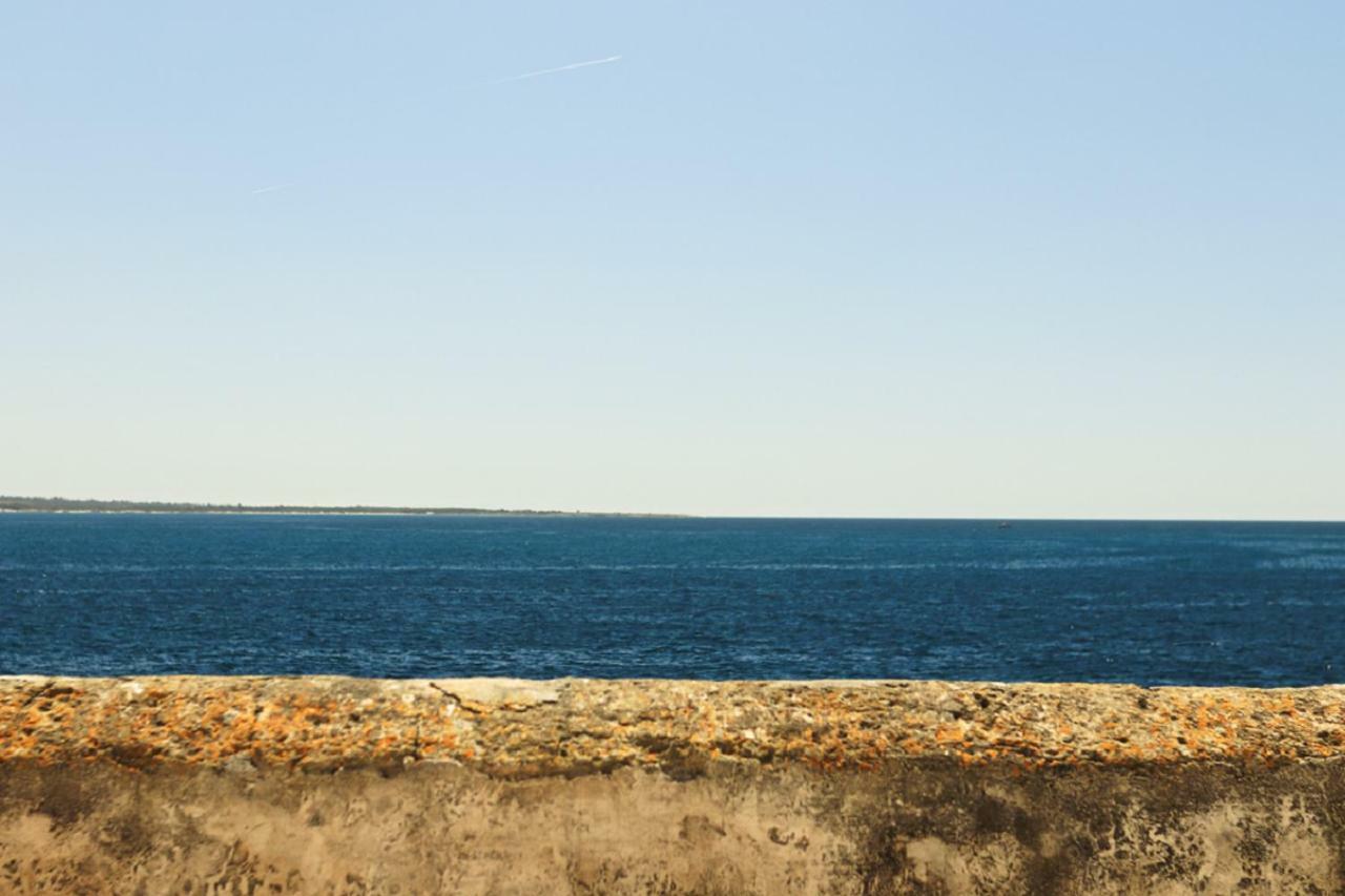 Amortentia * Gallipoli